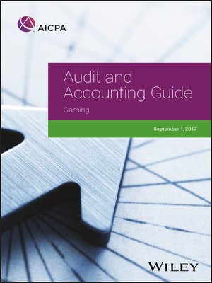 cover image of Audit and Accounting Guide